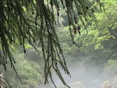-西岭雪山大飞水景区