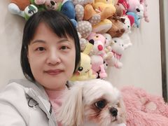 -有喵·猫咖·狗咖·40+猫狗有小奶狗(岗厦店)