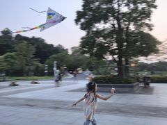-王借岗森林公园