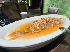清蒸长寿鱼-东莱海上(长宁来福士店)