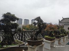 -香麒园·过桥米线·南湖雅宴