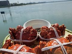 -蟹天蟹地农家菜·阳澄湖大闸蟹(浅水湾店)
