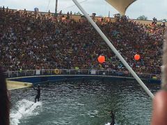 -秦皇岛乐岛海洋王国