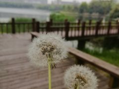 -江南大学(蠡湖校区)