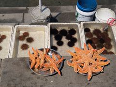 -添福来墨鱼饺子 · 海鲜东北菜(大连星海·黄浦路店)