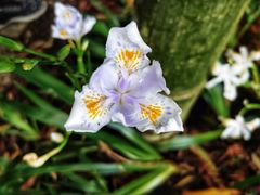 -花水湾第一村温泉大酒店
