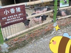 -青青世界