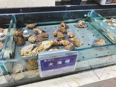 -旺顺阁海鲜广场(亚运村店)