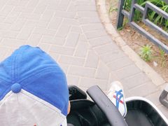 -大兴滨河森林公园