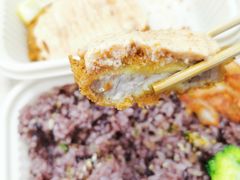 -堂本家·二代目·炸猪排(Express东海店)
