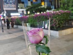 -润园四季椰子鸡火锅(南山海岸城店)