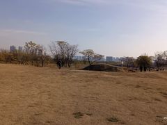 -盘龙城国家考古遗址公园