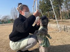 -前小桔亲子创意农场·草莓采摘·露营烧烤
