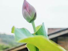 -远山有窑