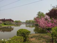 -石家庄市植物园