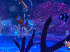 -沈阳海洋探索中心