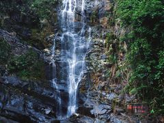 -鼎湖山风景区