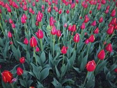 -长春公园(普阳街道)