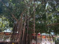 -南普陀寺