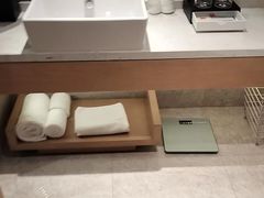-上海浦东绿地铂骊酒店