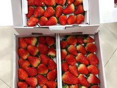 -上海龙吴水胜海发市场