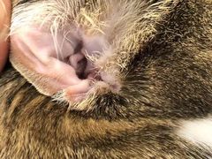 -comecome来吧宠物(奥克斯中心店)