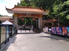 -小洲村