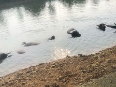 -杭州双溪漂流景区
