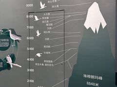 -中国湿地博物馆