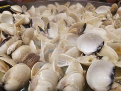 -水哥卜卜贝(东晓·胜汇里店)