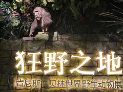 -浙江自然博物院(杭州馆)