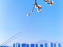 -青岛东方影都融创电影世界