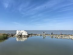-上海吴淞炮台湾国家湿地公园