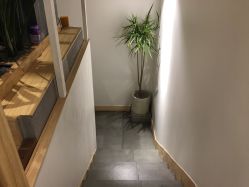 -王姑娘的店
