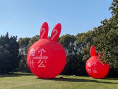 -同里国家湿地公园