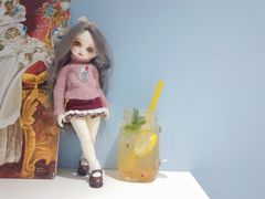 -喵的天空名猫咖啡馆·撸猫·猫舍·用品