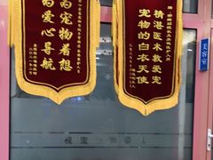 -全心全意连锁动物医院·微创中心·内科急重症·心脏专科(丰管路店)