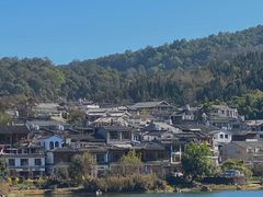 -YLK云南小粒咖啡·云里咖(二号店)