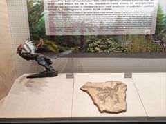 -辽宁古生物博物馆