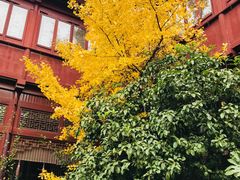 -祝家花園(伯渎港店)