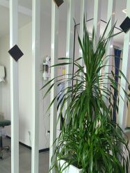 -极客侠男士假发定制补发