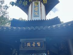 -上海佘山国家森林公园天马山园