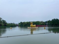 -青枫公园