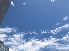 -董小西的凉皮和椒麻鸡(三元桥店)