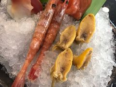 -真剑日本料理·铁板烧(贵州路店)
