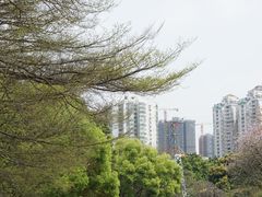 -晓港公园