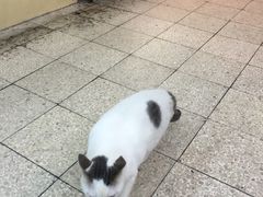 -新记餐厅(香槟大厦店)