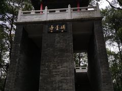 -青龙山国家森林公园