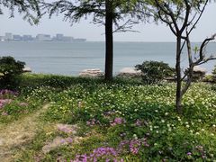 -上海滴水湖皇冠假日酒店