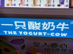-一只酸奶牛(春熙路店)